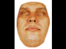 https://image.noelshack.com/fichiers/2014/45/1415061605-andre-the-giant-face.png