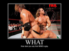 https://image.noelshack.com/fichiers/2014/45/1415067942-wwe-6e46fa-218016.jpg