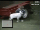 https://image.noelshack.com/fichiers/2014/45/1415130055-1414355409-1413140628134.gif