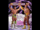 https://image.noelshack.com/fichiers/2014/45/1415218655-wrestlemania-6.jpg
