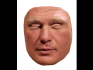 https://image.noelshack.com/fichiers/2014/45/1415290813-brock-lesnar.png