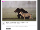 https://image.noelshack.com/fichiers/2014/45/1415478376-capture-d-ecran-2014-11-08-21-25-07.png