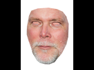 https://image.noelshack.com/fichiers/2014/45/1415541620-kevin-nash.png