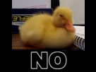 https://image.noelshack.com/fichiers/2014/46/1415901425-1399740476964.gif