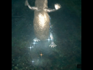 https://image.noelshack.com/fichiers/2014/46/1416064340-0qvvnqj.gif