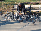 https://image.noelshack.com/fichiers/2014/46/1416163568-man-feeding-pigeons-1.jpg