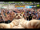 https://image.noelshack.com/fichiers/2014/47/1416773864-dedi40000postsmultiplexraymanelegends.png