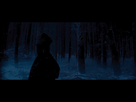 https://image.noelshack.com/fichiers/2014/48/1417360538-1417354027513.gif