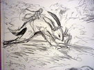 https://image.noelshack.com/fichiers/2014/48/1417374578-p1090120.jpg