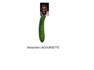 https://image.noelshack.com/fichiers/2014/48/1417383656-lacourgette.png