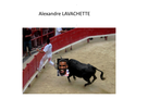 https://image.noelshack.com/fichiers/2014/48/1417383787-lavachette.png