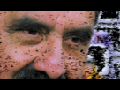 https://image.noelshack.com/fichiers/2014/50/1418234382-1415283045652.gif