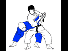 https://image.noelshack.com/fichiers/2014/50/1418340509-wakigatame.gif