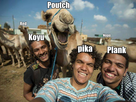 https://image.noelshack.com/fichiers/2014/51/1418818051-self.jpg