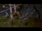 https://image.noelshack.com/fichiers/2014/51/1418834451-dragon-age-tm-inquisition-20141217093607.jpg