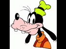 https://image.noelshack.com/fichiers/2015/02/1420852642-goofy2.gif