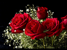https://image.noelshack.com/fichiers/2015/02/1420909952-bouquet-of-roses-by-muffet1-d38f7s5.jpg