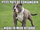 https://image.noelshack.com/fichiers/2015/04/1422215188-roflbot-2.jpg