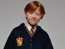 https://image.noelshack.com/fichiers/2015/04/1422215290-ron-weasley-ronald-weasley-30901065-1024-768.jpg