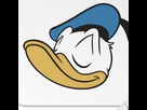 https://image.noelshack.com/fichiers/2015/05/1422241030-donald15.png