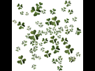 https://image.noelshack.com/fichiers/2015/05/1422552543-verdant.jpg