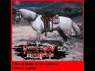 https://www.noelshack.com/2015-05-1422621548-red-dead-redemption-cheval-3-trotteur-american.jpg