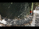 https://image.noelshack.com/fichiers/2015/05/1422720739-1422711099082.gif