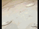 https://image.noelshack.com/fichiers/2015/05/1422745863-015.gif