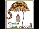 https://image.noelshack.com/fichiers/2015/06/1423386254-b82e304a.gif
