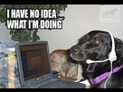 https://image.noelshack.com/fichiers/2015/07/1423839338-i-have-no-idea-what-i-am-doing-17.jpg