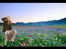 https://image.noelshack.com/fichiers/2015/07/1423850416-field-of-flowers.jpg