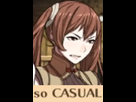 https://image.noelshack.com/fichiers/2015/07/1423887600-casual.png