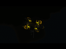 https://image.noelshack.com/fichiers/2015/08/1424149712-screenshot116.png
