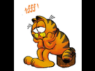 https://image.noelshack.com/fichiers/2015/08/1424175660-pffffffff.jpg