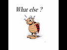 https://image.noelshack.com/fichiers/2015/08/1424195024-cocci3.gif