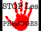 https://image.noelshack.com/fichiers/2015/08/1424314489-stop-les-prejuges-131749414822.png