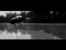 https://image.noelshack.com/fichiers/2015/08/1424441089-driveclub-tm-20150220145058.jpg
