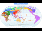 https://image.noelshack.com/fichiers/2015/08/1424529434-world-map-of-y-dna-haplogroups2.png