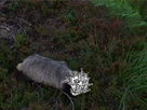 https://image.noelshack.com/fichiers/2015/09/1424681359-giphy.gif