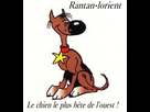 https://image.noelshack.com/fichiers/2015/09/1424708586-rantanplan.jpg