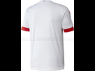 https://image.noelshack.com/fichiers/2015/09/1425012186-ob-03f489-camisola-2015-2016-benfica.jpg