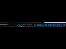 https://image.noelshack.com/fichiers/2015/09/1425120346-2.png