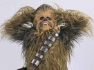 https://image.noelshack.com/fichiers/2015/09/1425140539-chewie.jpg