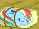 https://www.noelshack.com/2015-09-1425211357-307414-safe-rainbow-dash-applejack-animated.gif