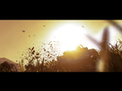 https://image.noelshack.com/fichiers/2015/09/1425232705-driveclub-tm-20150301175430.jpg