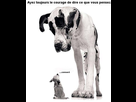 https://image.noelshack.com/fichiers/2015/10/1425497713-default-chien-dit-conard-big.jpg