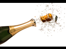 https://image.noelshack.com/fichiers/2015/11/1426009892-bouteille-champagne.jpg