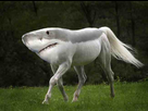 https://image.noelshack.com/fichiers/2015/11/1426350174-1426252392099.jpg