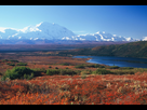 https://image.noelshack.com/fichiers/2015/11/1426409013-tundra.jpg