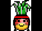 https://image.noelshack.com/fichiers/2015/11/1426421298-hapache.png